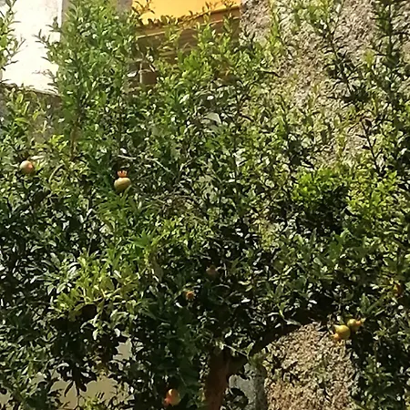 Fella Hébergement de vacances