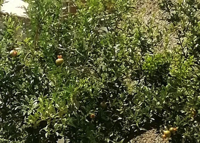 Fella Σπίτι διακοπών