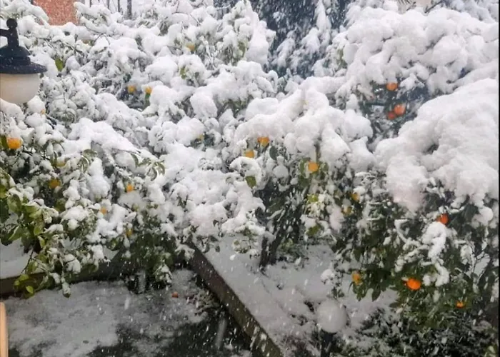 Fella Σπίτι διακοπών